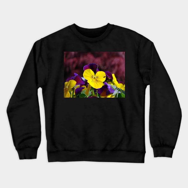 Viola Tricolor Crewneck Sweatshirt by AH64D